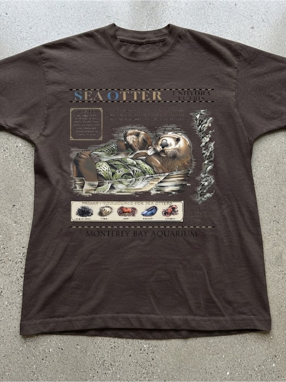 Monterey Bay Aquarium Sea Otter Graphic T-Shirt Gildan Cotton